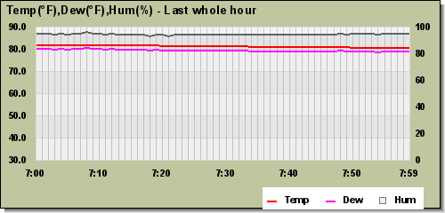 Temp/Dew Point/Humidity last whole hour